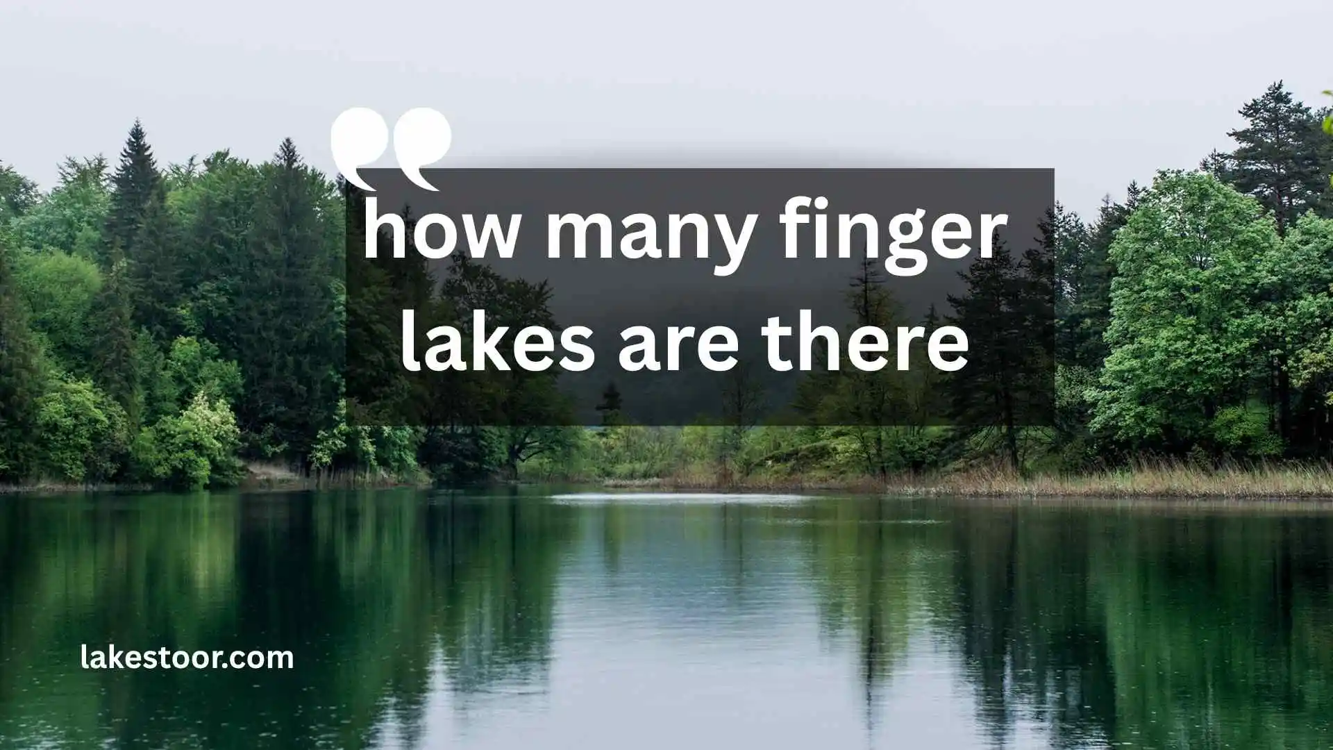 how many finger lakes are there