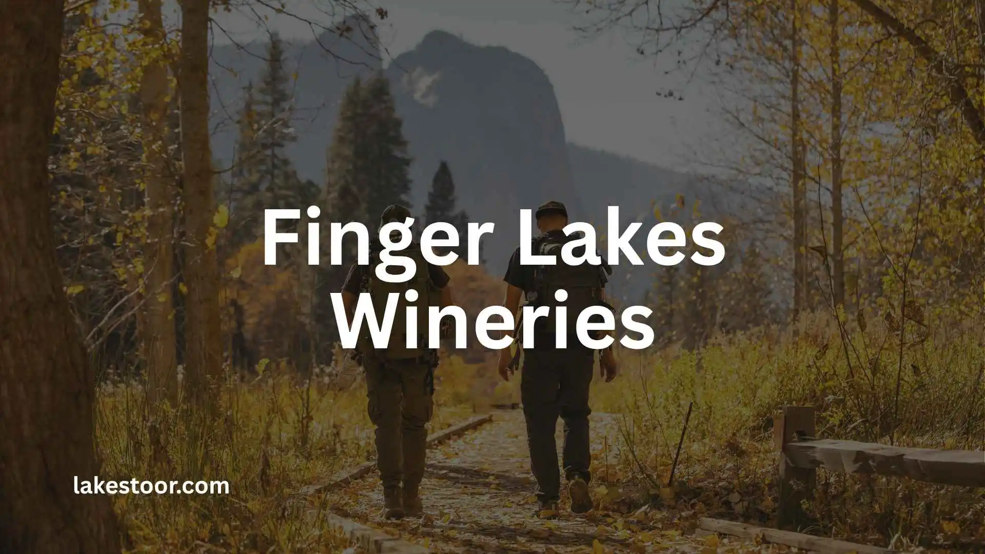 finger lakes wineries