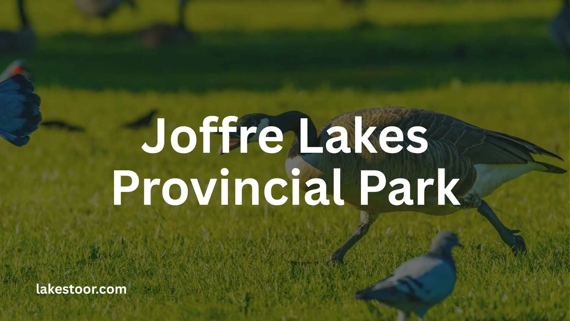 joffre lakes provincial park