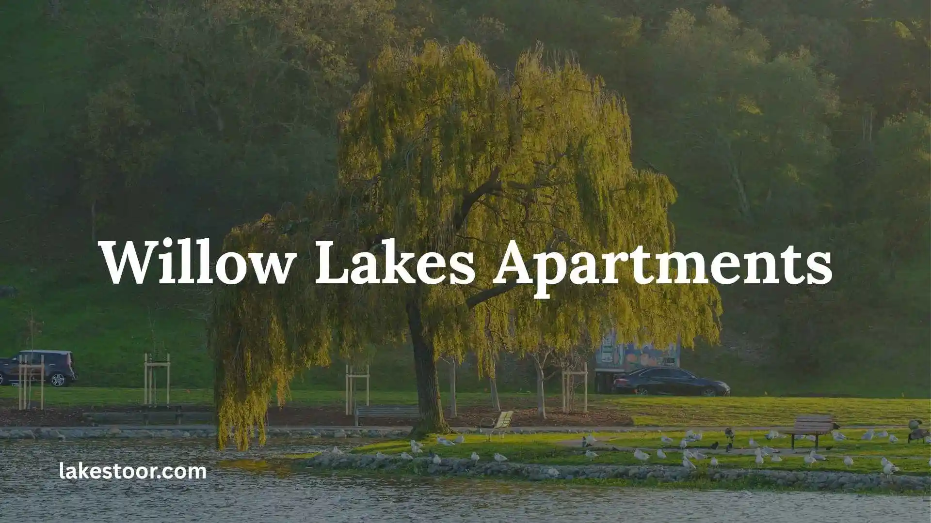 willow lakes apartments