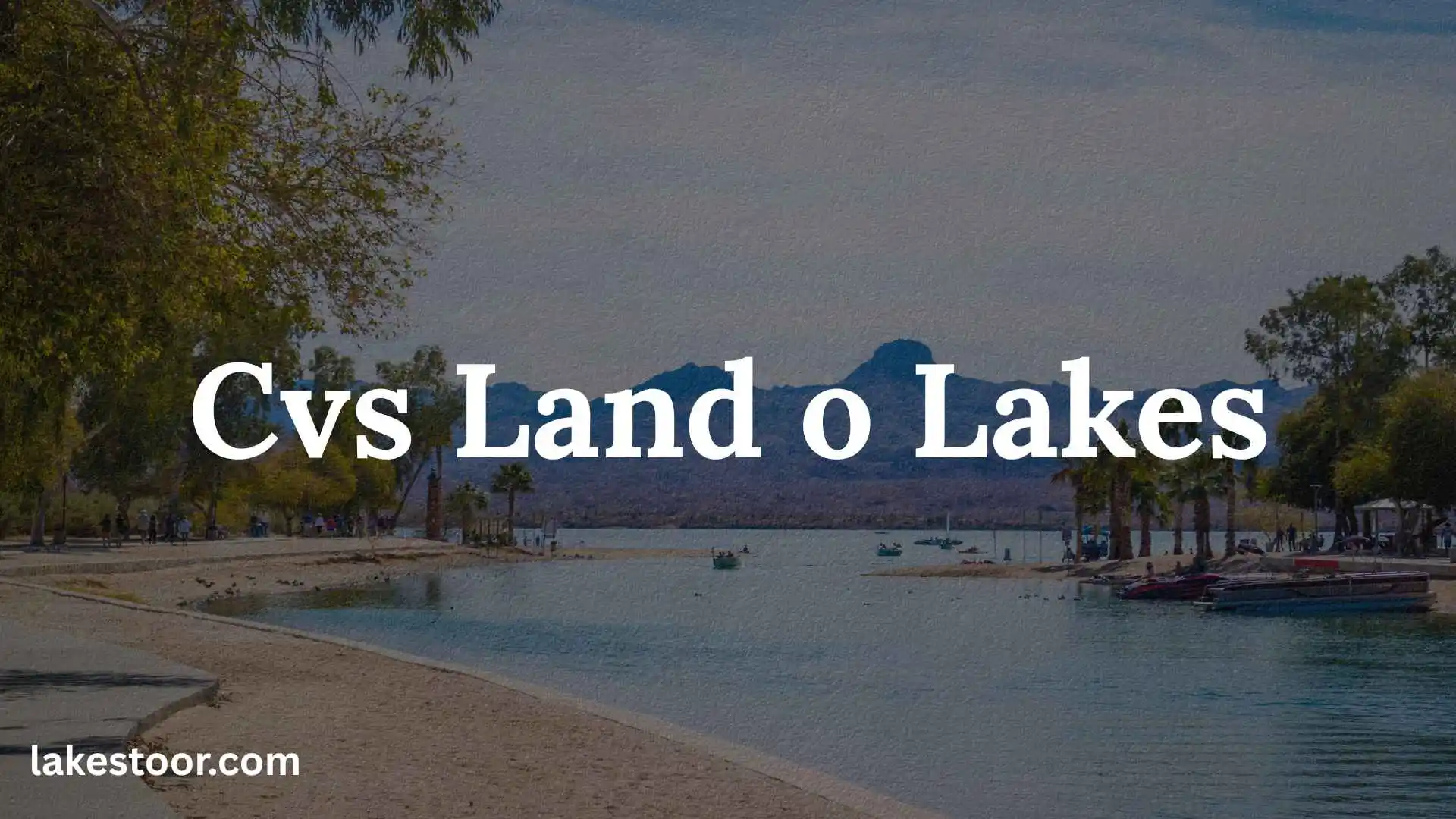 cvs land o lakes