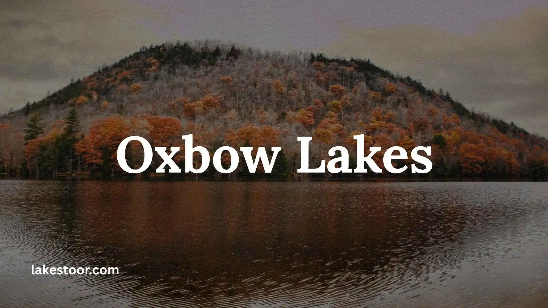 oxbow lakes