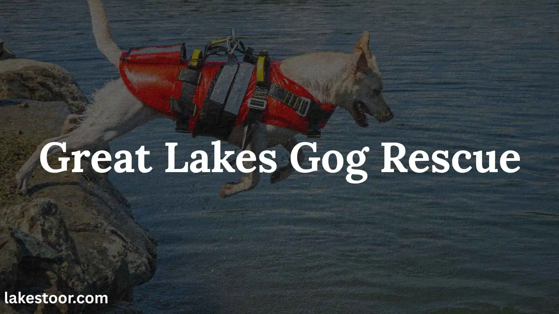 great lakes dog rescue