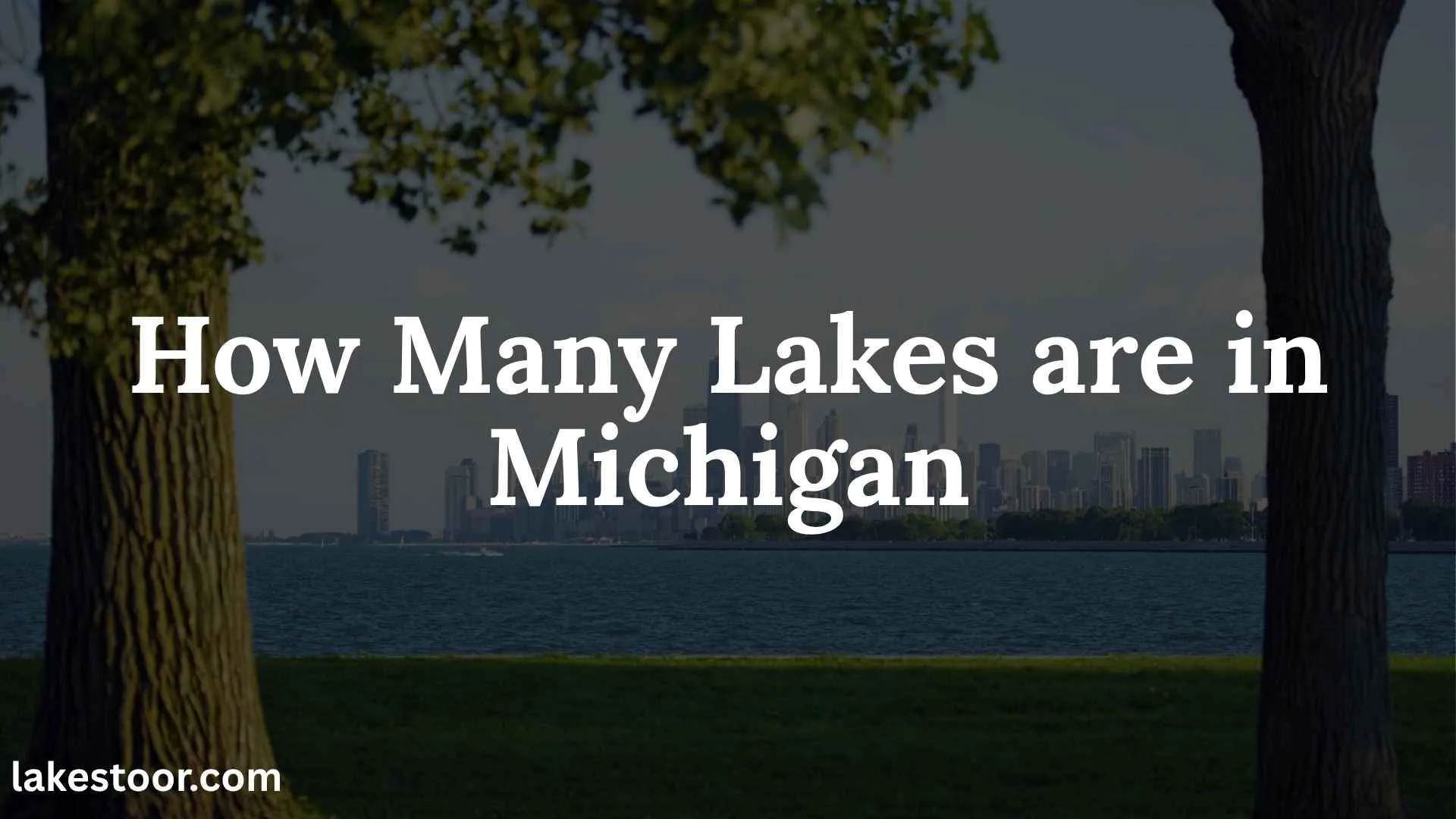 how many lakes are in michigan